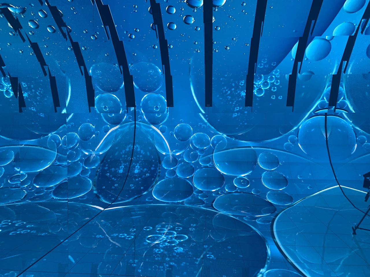 Event Resources The Blue Paradox project photo