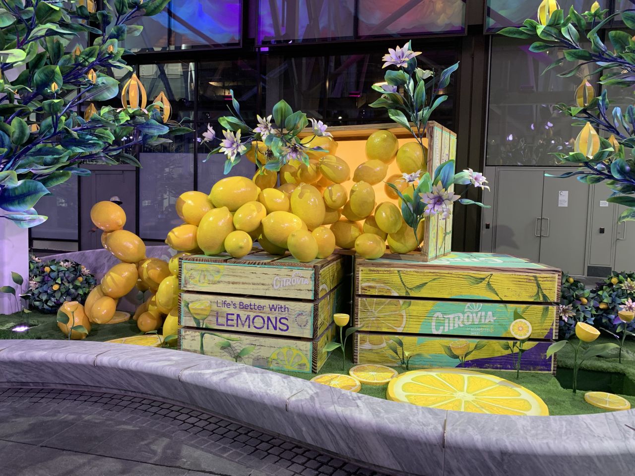 Event Resources Citrovia @ Manhattan West project photo